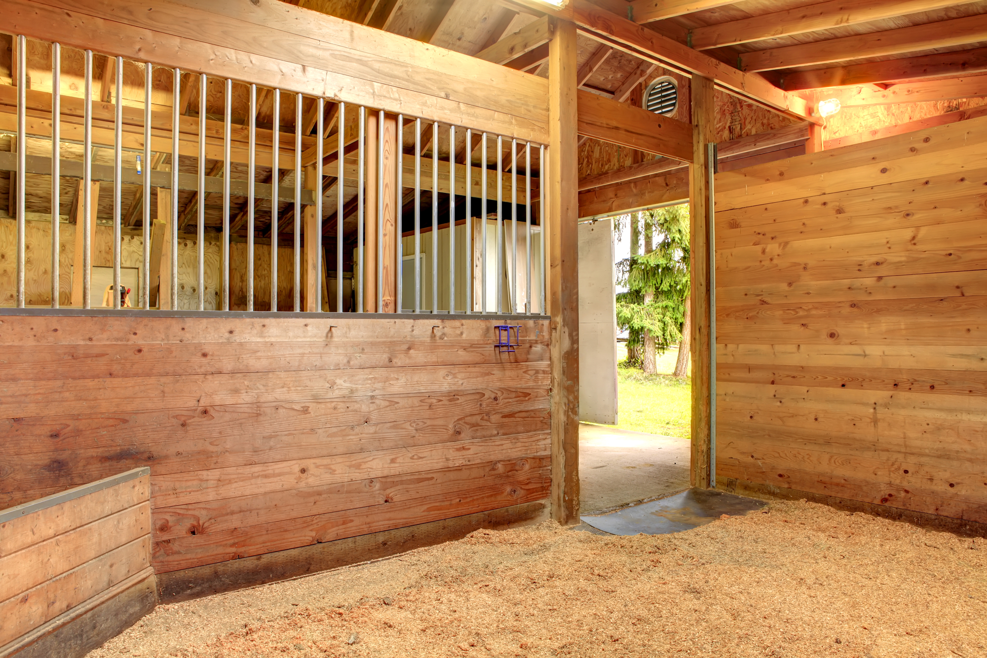 why-pine-wood-shavings-are-the-best-bedding-option-for-horses-gi